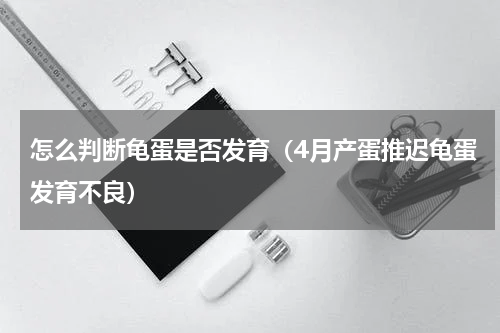 怎么判断龟蛋是否发育（4月产蛋推迟龟蛋发育不良）