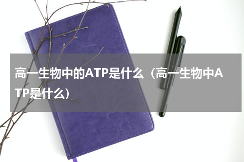 高一生物中的ATP是什么（高一生物中ATP是什么）