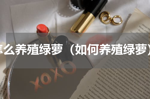 怎么养殖绿萝（如何养殖绿萝）