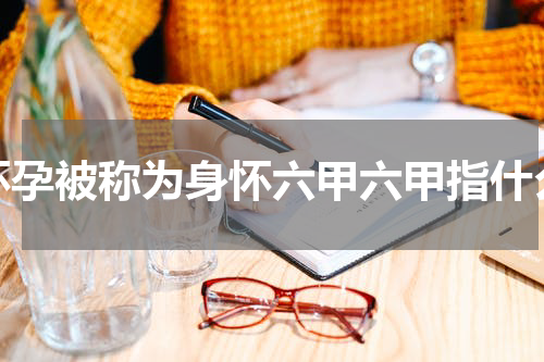 怀孕被称为身怀六甲六甲指什么