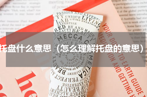 托盘什么意思（怎么理解托盘的意思）