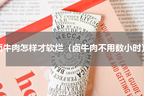 卤牛肉怎样才软烂（卤牛肉不用数小时）
