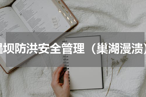 堤坝防洪安全管理（巢湖漫溃）
