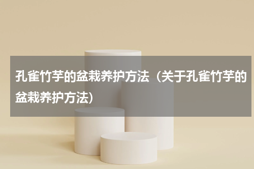 孔雀竹芋的盆栽养护方法（关于孔雀竹芋的盆栽养护方法）