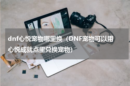 dnf心悦宠物哪里换（DNF宠物可以用心悦成就点里兑换宠物）