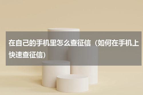 在自己的手机里怎么查征信（如何在手机上快速查征信）
