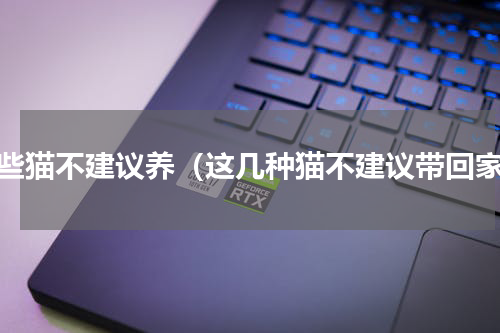 哪些猫不建议养（这几种猫不建议带回家）