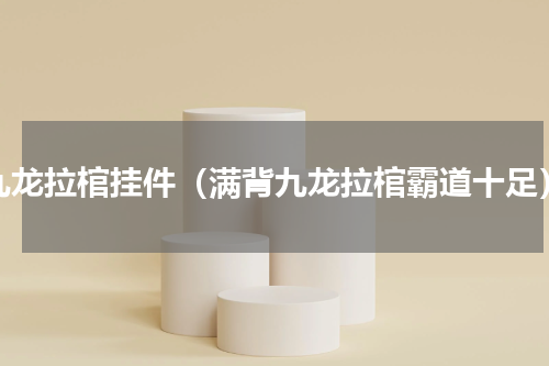 九龙拉棺挂件（满背九龙拉棺霸道十足）