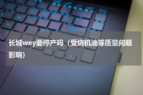 长城wey要停产吗（受烧机油等质量问题影响）