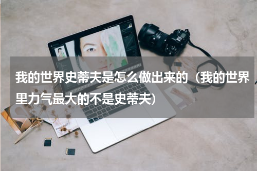 我的世界史蒂夫是怎么做出来的（我的世界里力气最大的不是史蒂夫）