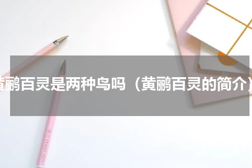 黄鹂百灵是两种鸟吗（黄鹂百灵的简介）