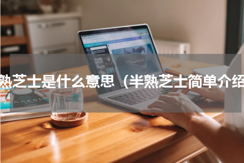 半熟芝士是什么意思（半熟芝士简单介绍）