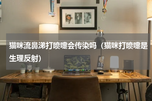 猫咪流鼻涕打喷嚏会传染吗（猫咪打喷嚏是生理反射）