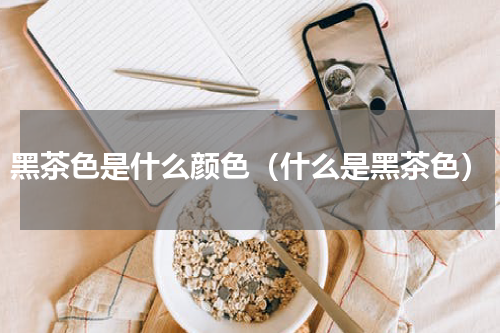 黑茶色是什么颜色（什么是黑茶色）