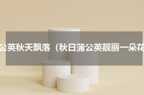 蒲公英秋天飘落（秋日蒲公英靓丽一朵花）