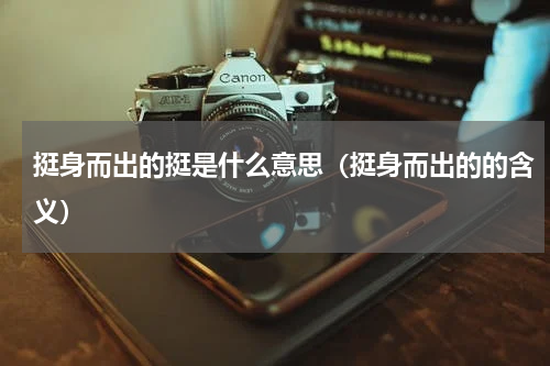 挺身而出的挺是什么意思（挺身而出的的含义）