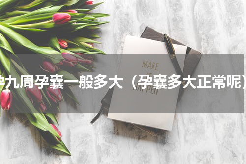孕九周孕囊一般多大（孕囊多大正常呢）