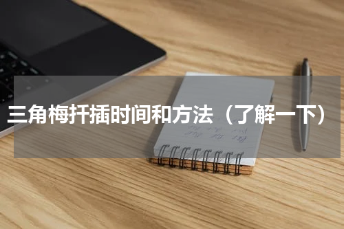 三角梅扦插时间和方法（了解一下）