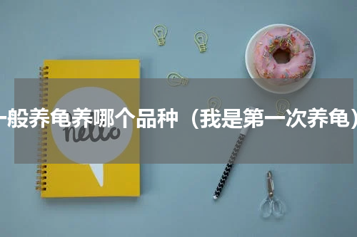 一般养龟养哪个品种（我是第一次养龟）