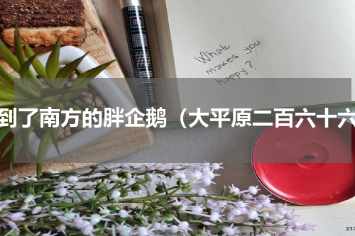 漂到了南方的胖企鹅（大平原二百六十六）