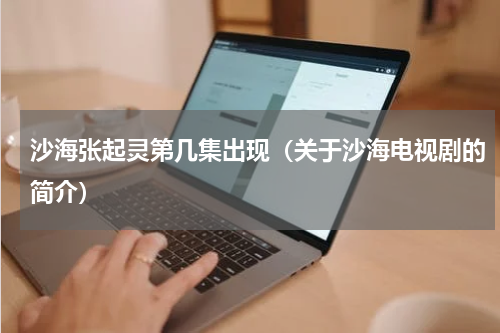 沙海张起灵第几集出现（关于沙海电视剧的简介）