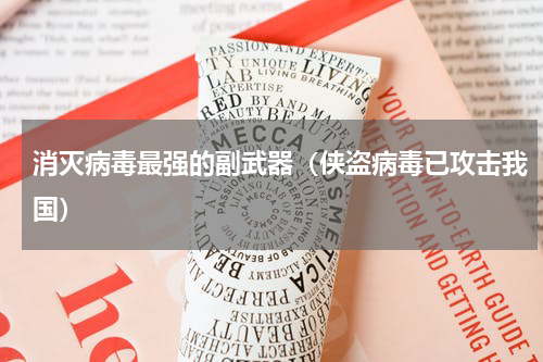 消灭病毒最强的副武器（侠盗病毒已攻击我国）