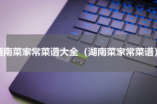 湖南菜家常菜谱大全（湖南菜家常菜谱）