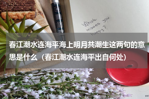 春江潮水连海平海上明月共潮生这两句的意思是什么（春江潮水连海平出自何处）