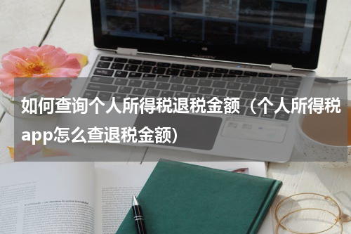如何查询个人所得税退税金额（个人所得税app怎么查退税金额）