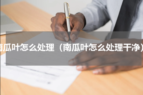 南瓜叶怎么处理（南瓜叶怎么处理干净）