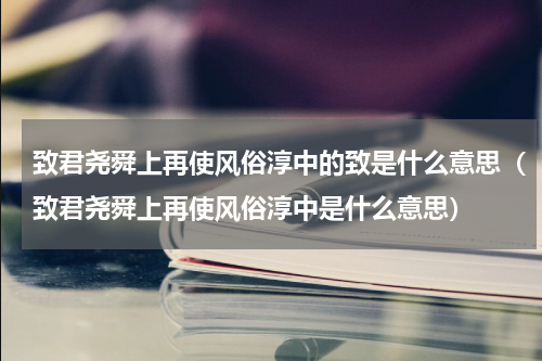 致君尧舜上再使风俗淳中的致是什么意思（致君尧舜上再使风俗淳中是什么意思）