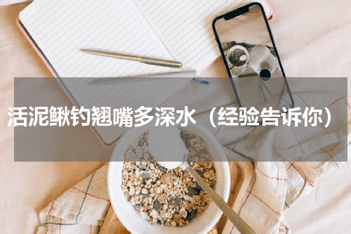 活泥鳅钓翘嘴多深水（经验告诉你）