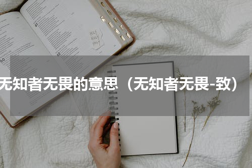 无知者无畏的意思（无知者无畏-致）