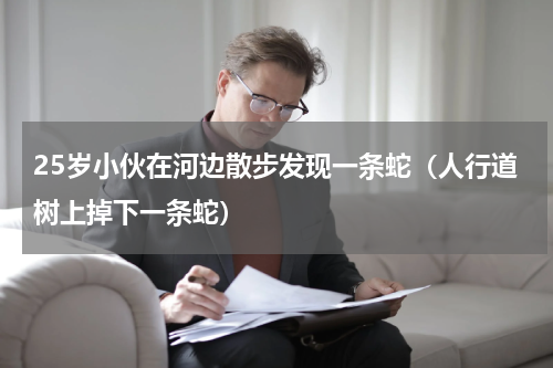 25岁小伙在河边散步发现一条蛇（人行道树上掉下一条蛇）