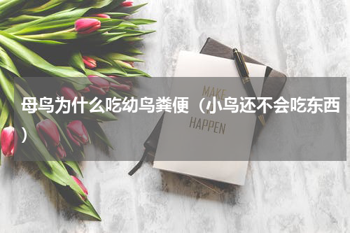 母鸟为什么吃幼鸟粪便（小鸟还不会吃东西）