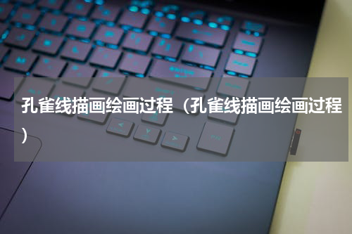 孔雀线描画绘画过程（孔雀线描画绘画过程）