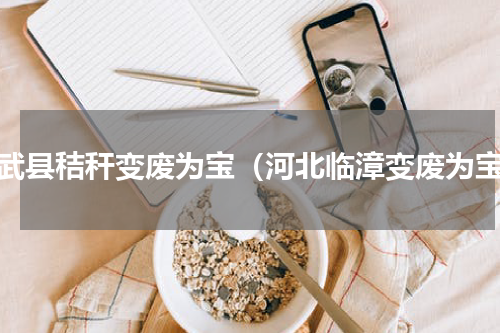临武县秸秆变废为宝（河北临漳变废为宝）