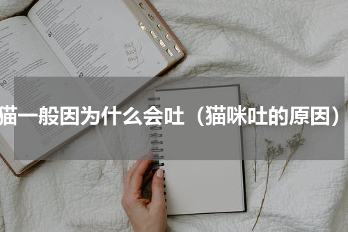 猫一般因为什么会吐（猫咪吐的原因）