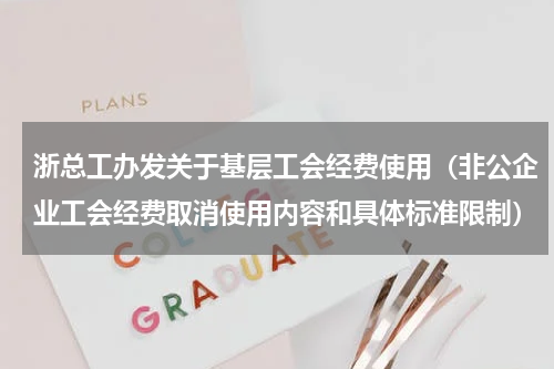 浙总工办发关于基层工会经费使用（非公企业工会经费取消使用内容和具体标准限制）