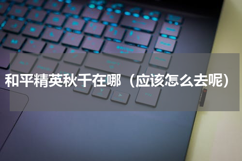 和平精英秋千在哪（应该怎么去呢）