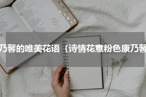 康乃馨的唯美花语（诗情花意粉色康乃馨）