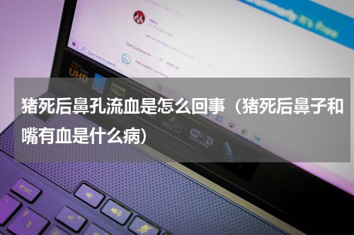 猪死后鼻孔流血是怎么回事（猪死后鼻子和嘴有血是什么病）