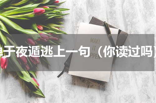 单于夜遁逃上一句（你读过吗）
