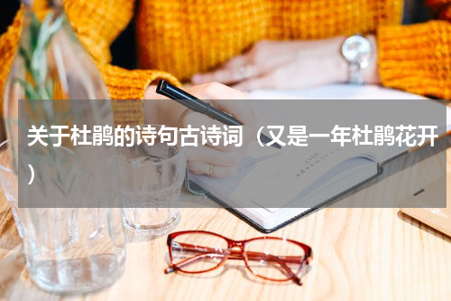 关于杜鹃的诗句古诗词（又是一年杜鹃花开）
