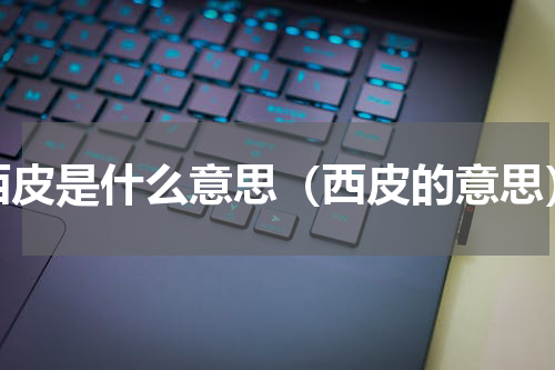 西皮是什么意思（西皮的意思）