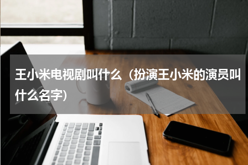王小米电视剧叫什么（扮演王小米的演员叫什么名字）