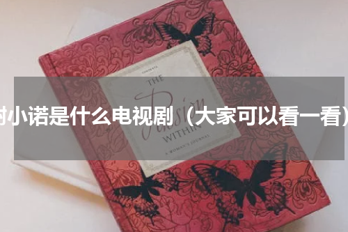 谢小诺是什么电视剧（大家可以看一看）