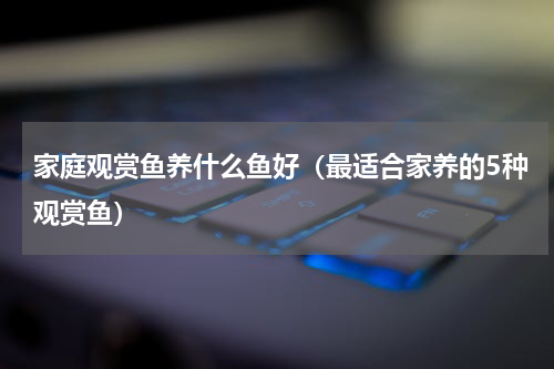 家庭观赏鱼养什么鱼好（最适合家养的5种观赏鱼）
