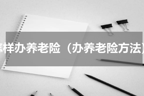 怎样办养老险（办养老险方法）