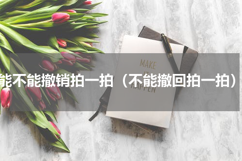能不能撤销拍一拍（不能撤回拍一拍）